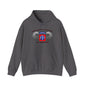 82nd Airborne Division Hoodie